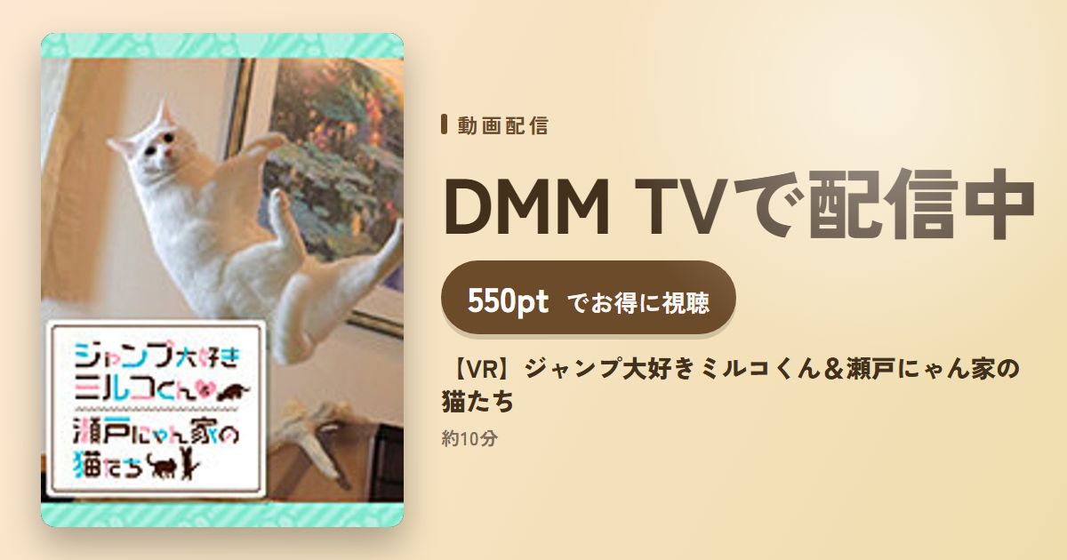 【VR】ジャンプ大好きミルコくん&瀬戸にゃん家の猫たちのアイキャッチ